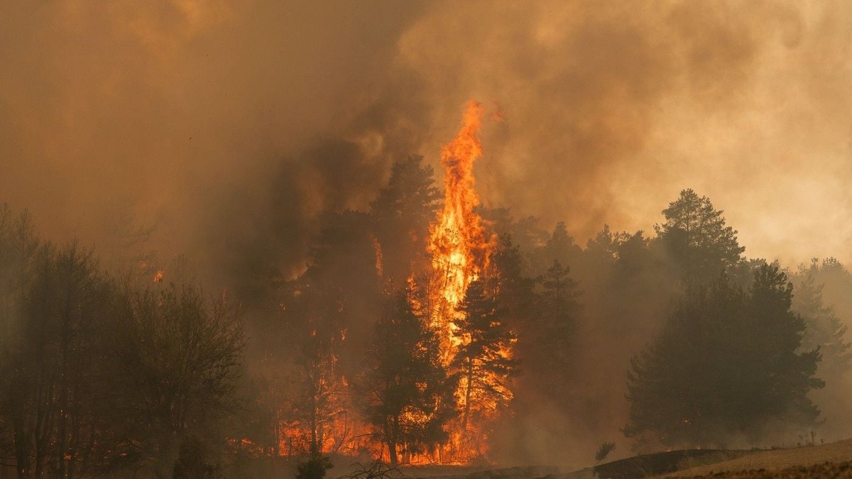 Incendiul masiv de vegetație a ajuns în satul Grebenac din Deliblatska Pescara, Voivodina, Serbia. Sursă foto: Profimedia.