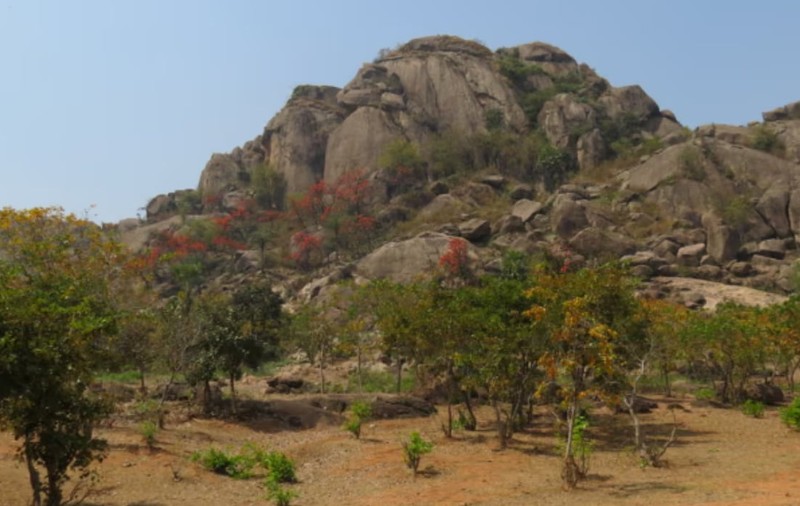 O rocă de 3,5 miliarde de ani, spartă în India. Ce au găsit cercetătorii ar putea schimba teoria originii vieții