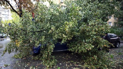 prognoza-meteo-vreme-ploi-8-octombrie-2025