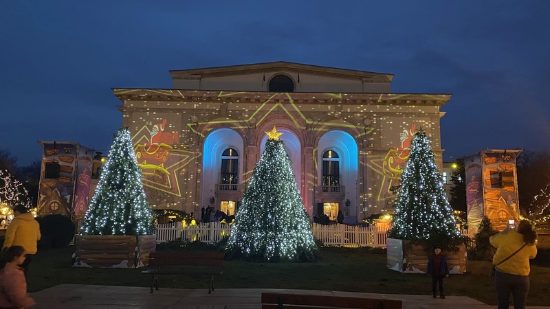 Șase brazi imeși sunt decorați cu lumițe speciale pe toată durata târgului