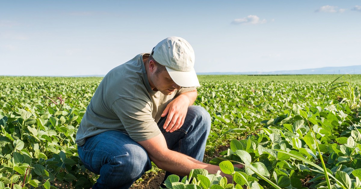 Cine beneficiază de subvențiile agricole