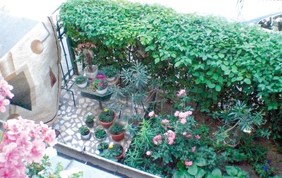 Arhiva foto