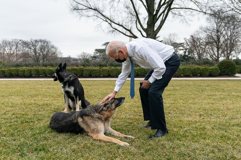 Joe Biden, cu Major (stânga) și Champ, pe peluza Casei Albe. Foto: Hepta