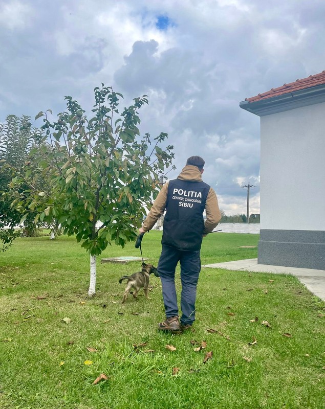 Locuitori din Sibiu cer închiderea centrului care dresează câini pentru Poliție, Jandarmerie, SRI și SPP. Proces pentru zgomotul produs noaptea de animale