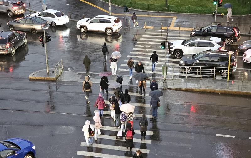 Furtună puternică în București, cu rafale de până la 70 km/h și copaci rupți de vânt
