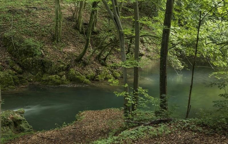 Un tânăr a fost găsit spânzurat într-o pădure de pe Valea Măgheruşului, după ce câinele cu care plecase s-a întors singur acasă