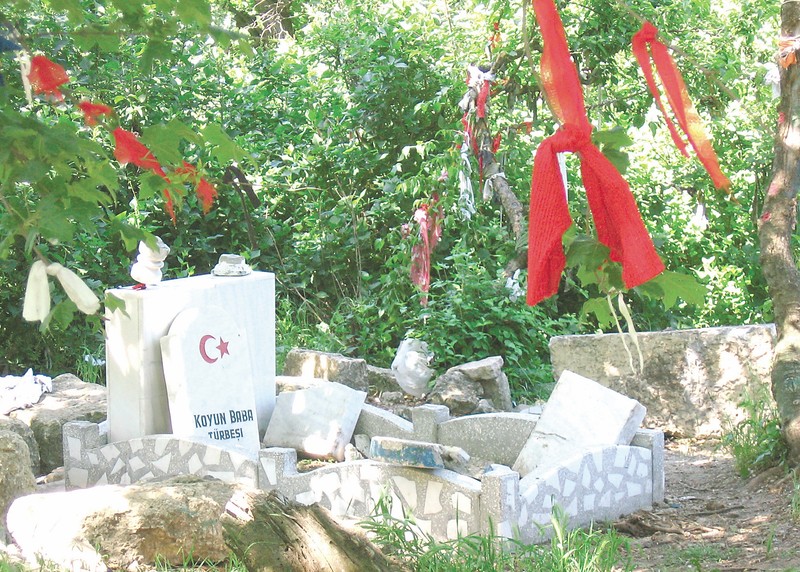 Arhiva foto
