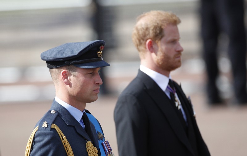 Prințul Harry își acuză fratele, pe prințul William, că l-a agresat fizic. „Totul s-a întâmplat atât de repede”
