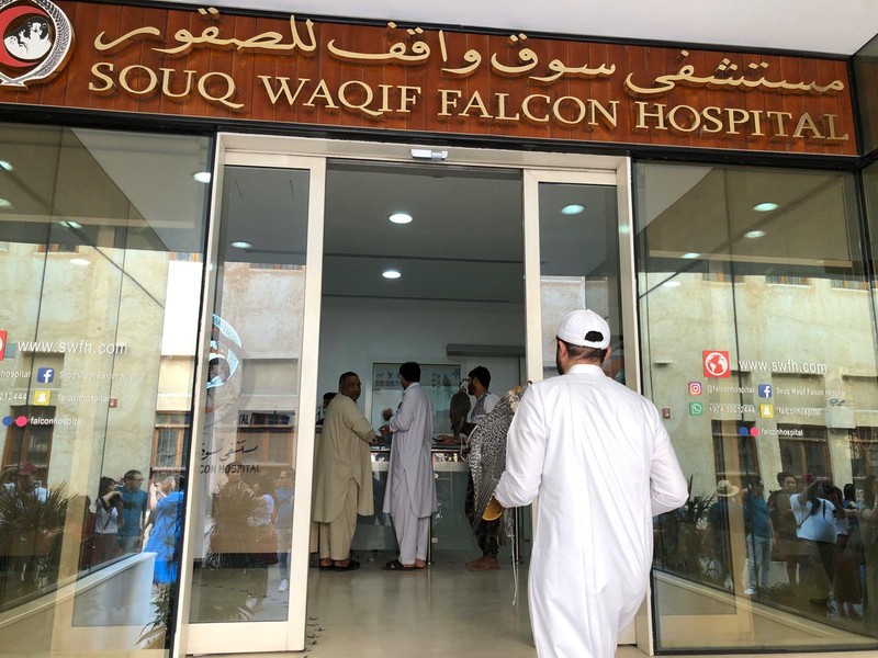 Intrarea la spitalul de șoimi din Qatar