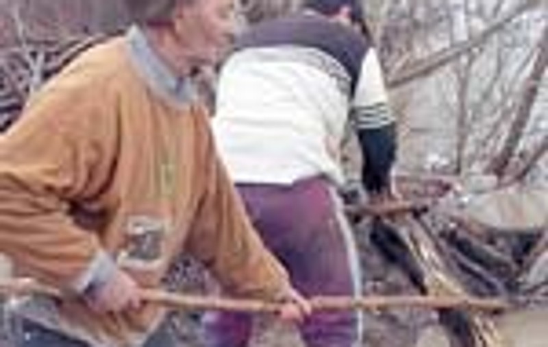 Maramuresenii au iesit la 'pescuit' de lemne