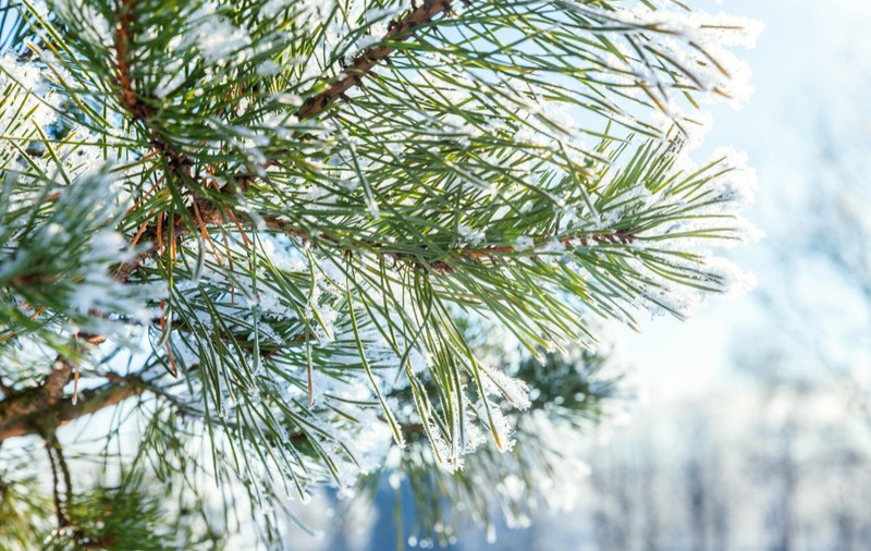 Cum va fi vremea mâine. Prognoza meteo pentru joi, 2 ianuarie 2025