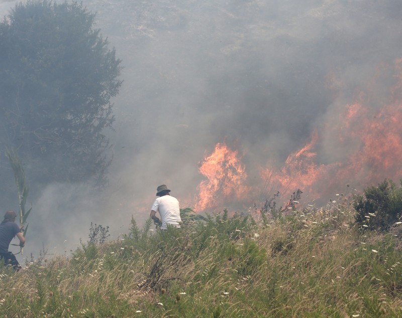 FOTO | Incendii în apropiere de Atena. Mai multe case au fost mistuite de flăcări