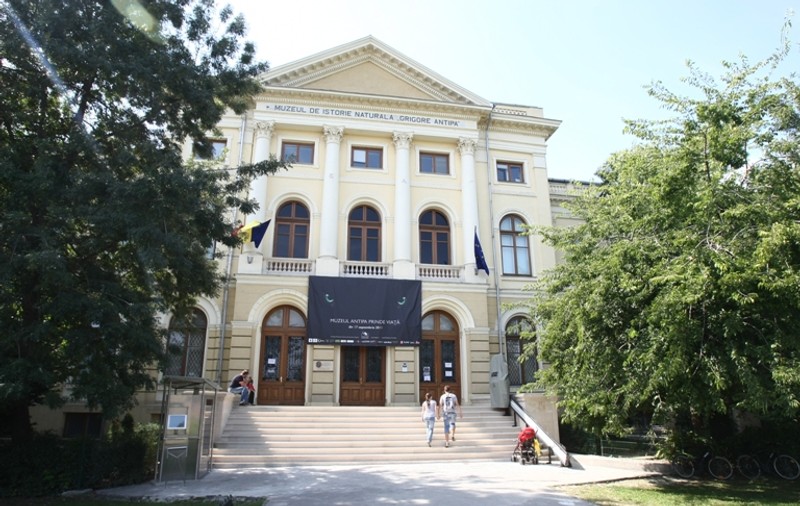 Cadavre umane, la Muzeul Antipa din Bucureşti