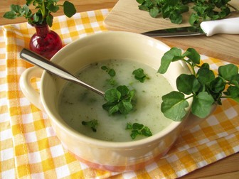 Ciorbă de untișor