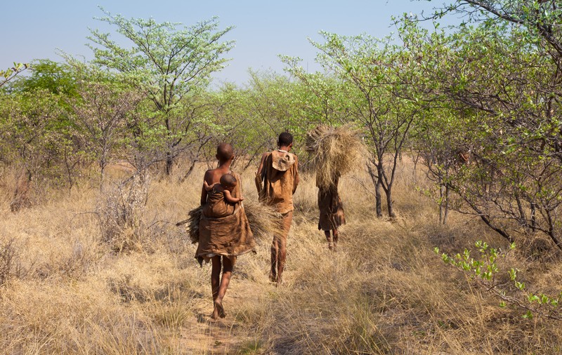 Ce putem învăța despre creșterea copiilor de la triburile de vânători-culegători din Botswana sau Congo