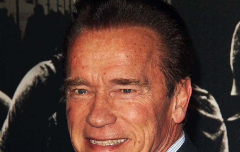 Panică la bordul unui avion în care se afla Arnold Schwarzenegger. Ce a pățit celebrul actor