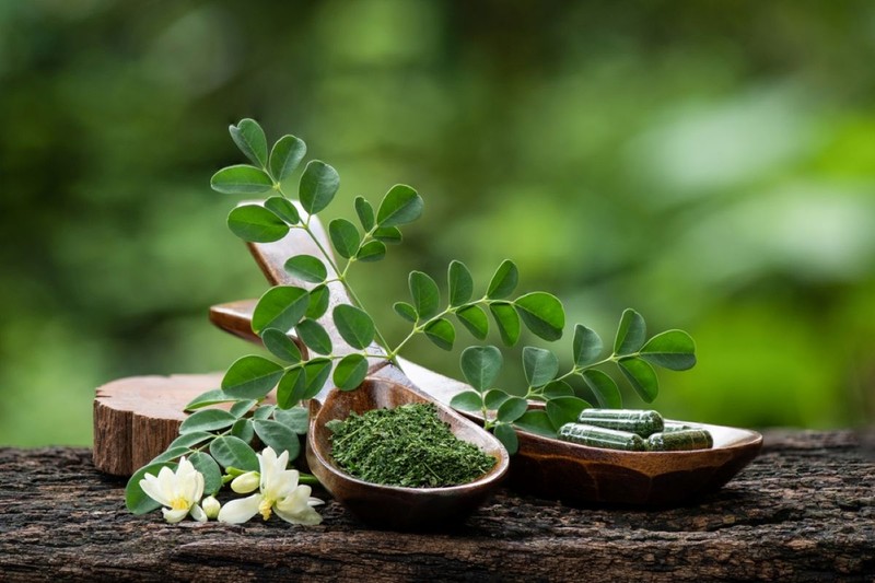 Cum se consumă moringa