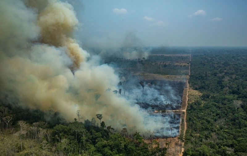 Experți: Incendiile din Amazonia nu sunt la fel de numeroase ca în alți ani