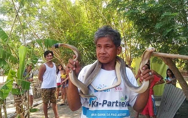 Filipinezul care se declara imun la venin a fost ucis de o cobră. „Veninul era prea puternic”