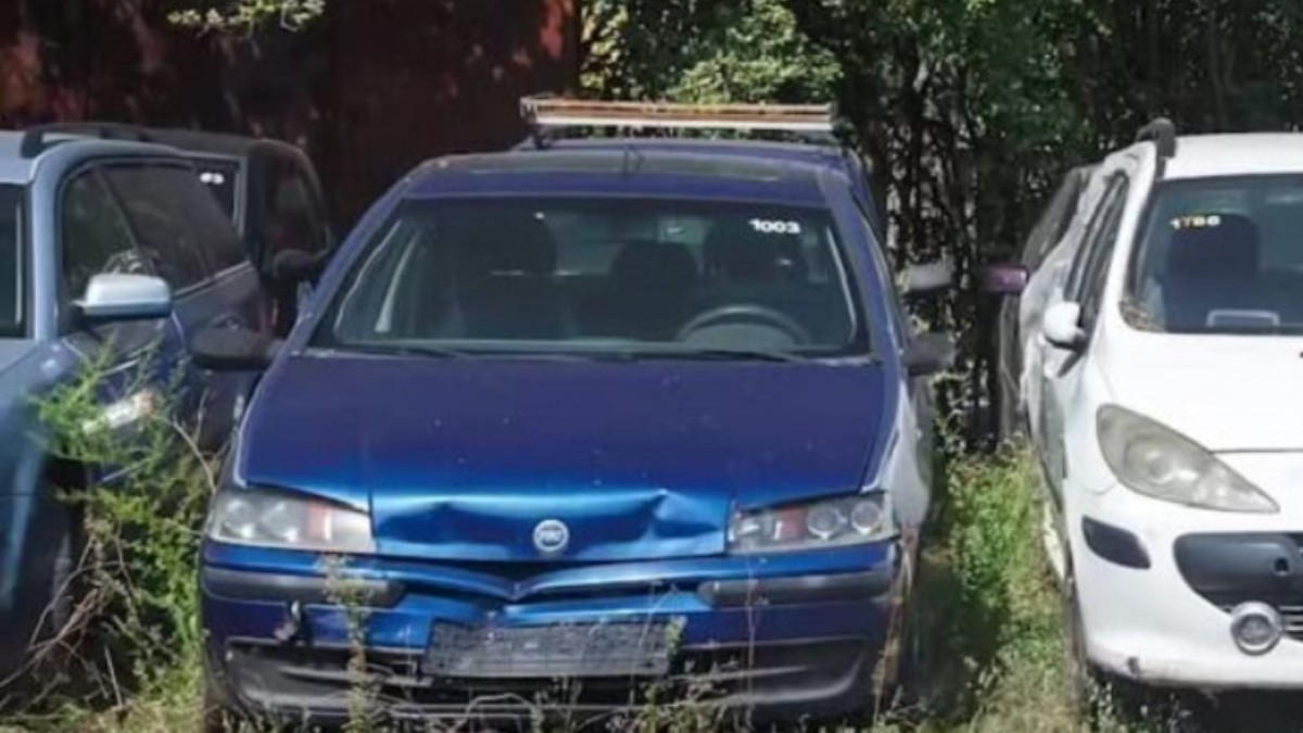 În imagine sunt ilustrate mașini abandonate