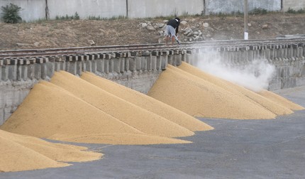 Închiderea porturilor din Ucraina afectează exporturile de cereale. Foto: EPA