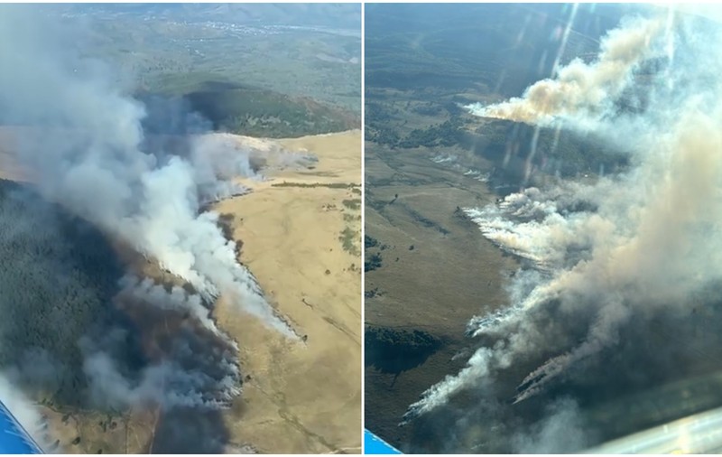 Incendiu în Munţii Gutâi, în zona montană Igniş. Au ars aproape 80 de hectare de vegetaţie 