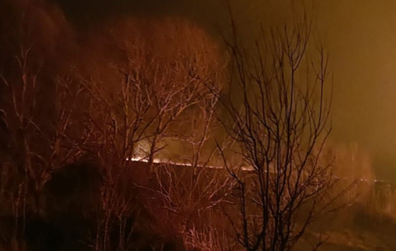 Incendiu de vegetație în Delta Dunării, lângă Sulina. Circa 150 de hectare sunt afectate