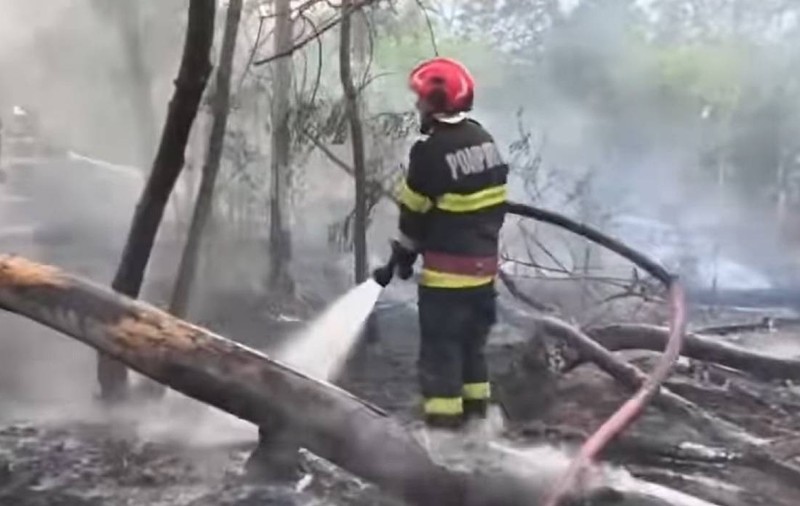 Trăsnetele au ars sute de hectare de culturi, lizieră și vegetație uscată de lângă Galați | VIDEO