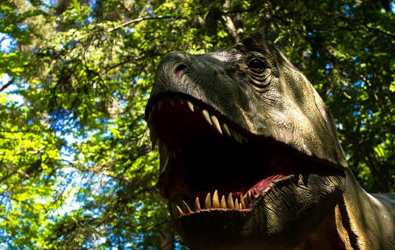 ''Pădurea Magică a Dinozaurilor", expoziţie educativă la Dino Parc Râşnov. Dinozaur din Dino Parc Rășnov
