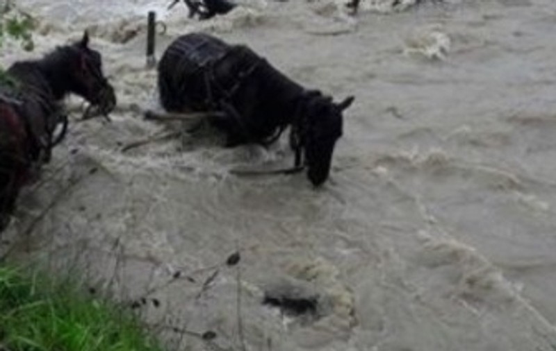 Un bărbat a murit din cauza inundațiilor în Corbi, Argeș. A traversat călare râul Doamnei și a fost luat de viitură. Numărul morților a ajuns la patru