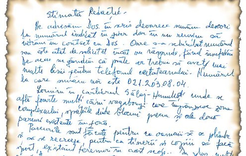 «Copiii noştri pot fi muşcaţi de câini»
