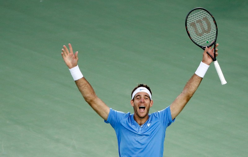 Cupa Davis. Argentina conduce Marea Britanie. Del Potro l-a bătut pe Andy Murray. Franța și Croația, la egalitate