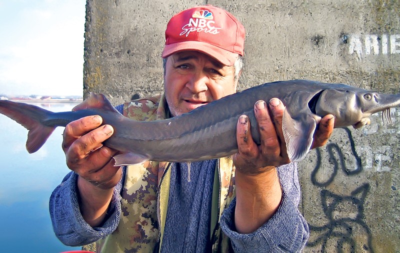 Captură de senzaţie! A pescuit un NISETRU tocmai în lacul Bacău
