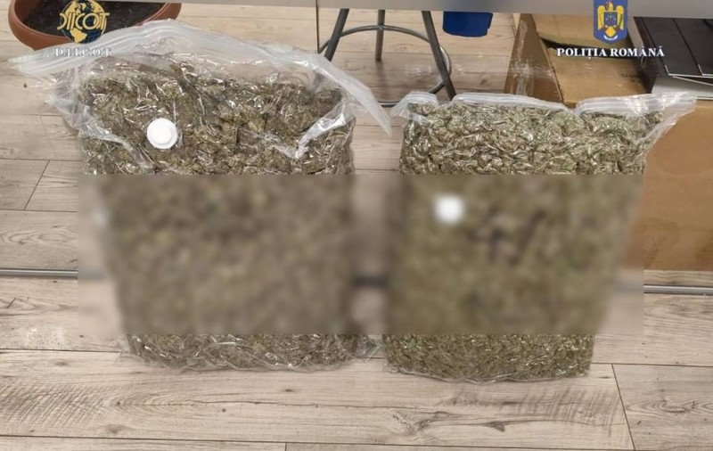 Un bătrân de 70 de ani a fost prins în Arad când primea din Spania un colet cu 9 kg de canabis, trimis de o rudă