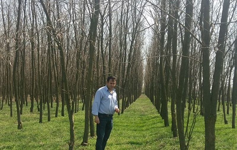 Un fermier din Teleorman a fost amendat de Garda de Mediu după ce a plantat 40.000 de arbori. Care e motivul