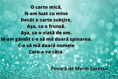 Povară de Marin Sorescu