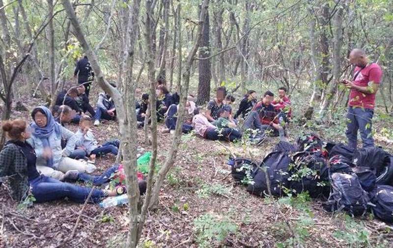 Migranţi descoperiți "ascunşi" în Complexul Studenţesc din Timişoara