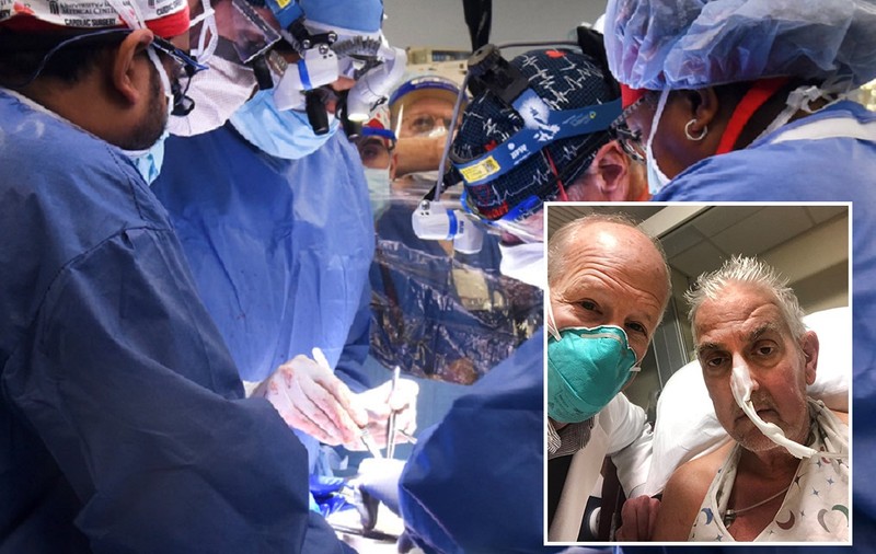 VIDEO | Un american e primul om din lume care a primit un transplant de inimă de la un porc modificat genetic