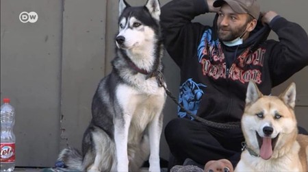 Lucki alături de câinii săi pe străzile din Koln, foto: captură video