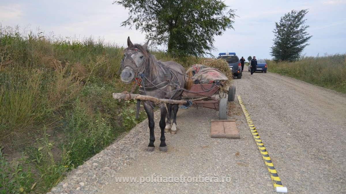 Un bărbat din Neamț a murit strivit sub o căruță cu paie când încerca să coboare o pantă
