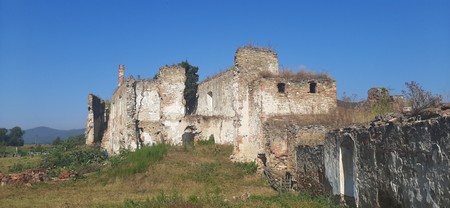 Arhiva foto