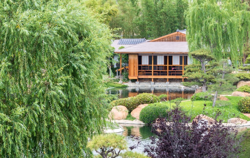 La 76 de ani, și-a construit singur, în 4 luni, o ceainărie „la capătul lumii”: povestea psihologului care și-a găsit liniștea în mijlocul naturii