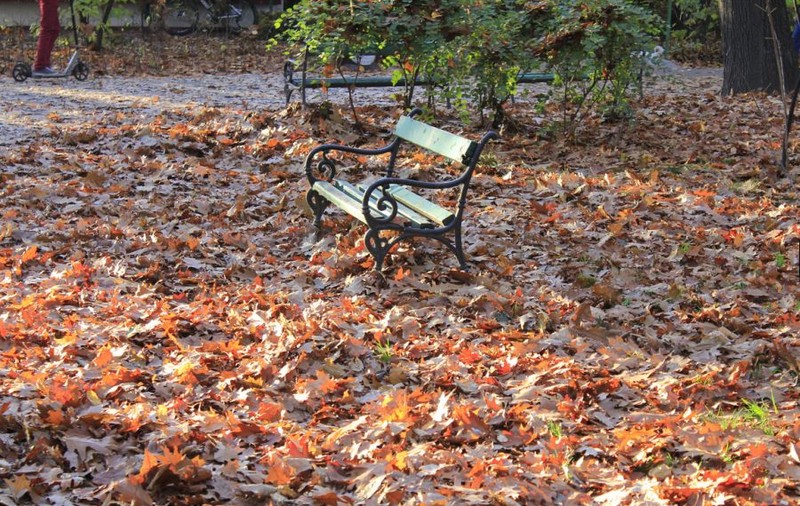 Prognoza meteo pentru următoarele două săptămâni. Cum va fi vremea în intervalul 6-19 noiembrie