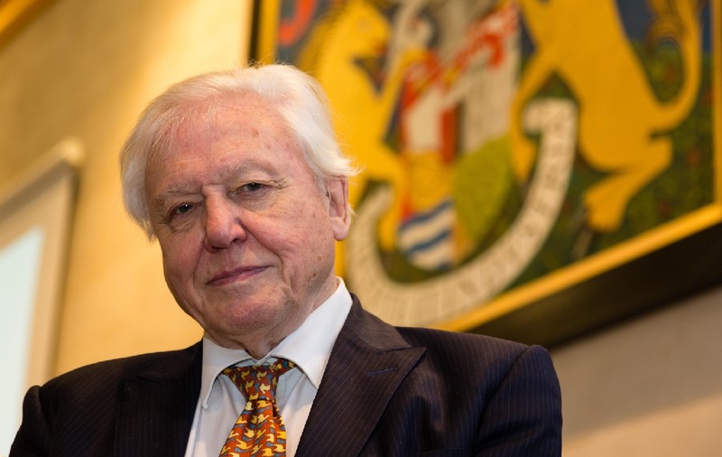 David Attenborough, unul dintre cei mai iubiți naturaliști, avertisment la aproape 100 de ani: „Doar dacă salvăm oceanele, ne salvăm planeta”