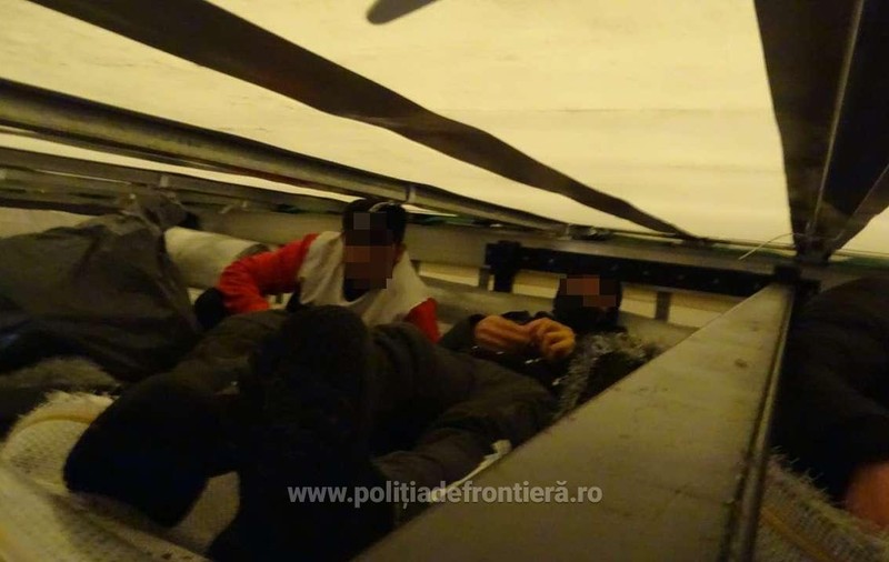 Patru migranți care au încercat să intre în România ascunși printre covoare au fost reținuți de polițiștii de frontieră