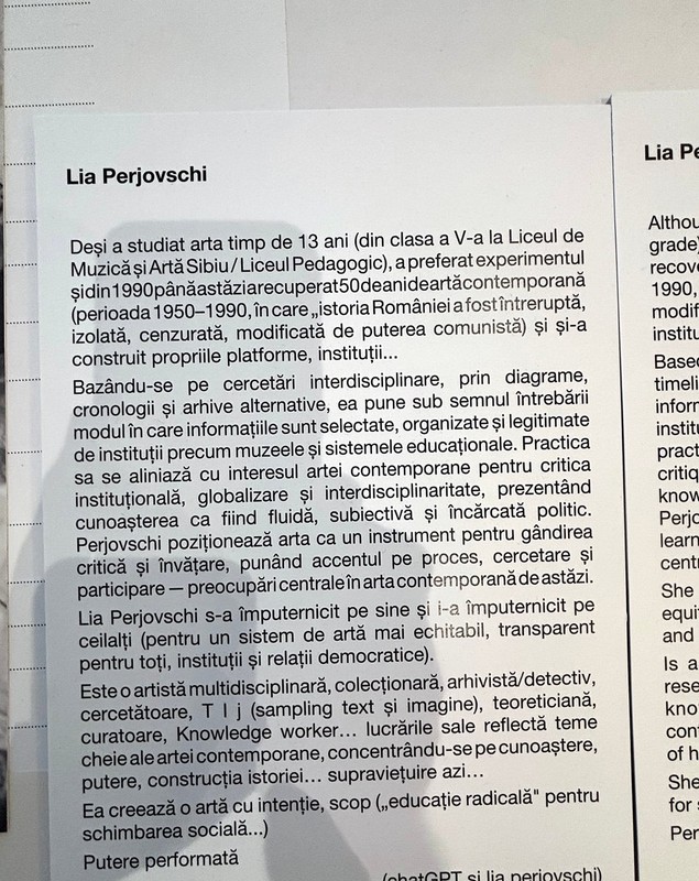 „Absolut toate revoltele noastre de-o viață împotriva lui Ceaușescu și a tuturor micilor dictatori «care ne călăresc »”. Reportaj despre Lia și Dan Perjovschi