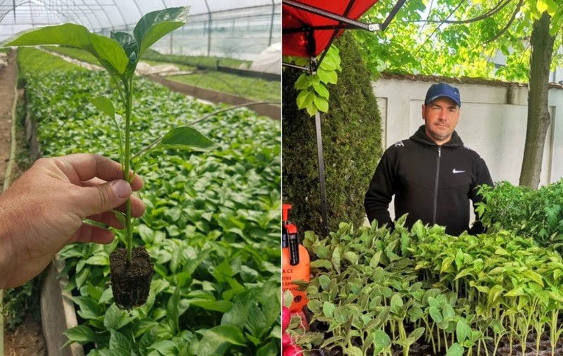 Un român s-a întors din Anglia după 9 ani ca să facă agricultură în țară, dar a aflat de ce nu merge nimic: „N-avem soluții”