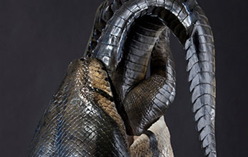 Povestea lui Titanoboa, şarpele de 14 metri şi o tonă care se hrănea cu... crocodili