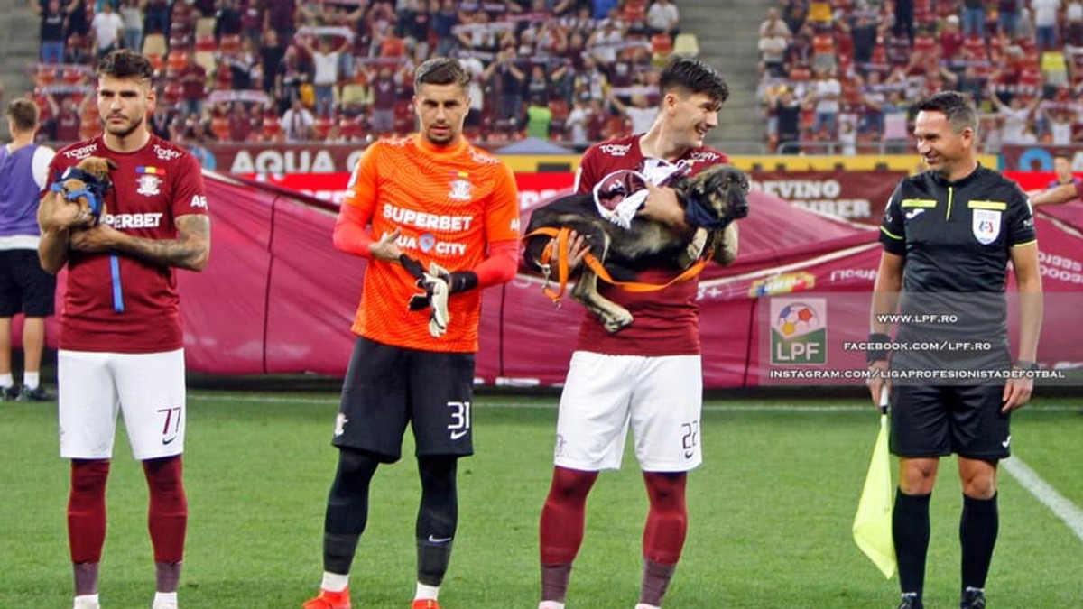 Jucătorii echipelor din Liga I au ieșit pe stadion cu cățeii din adăposturi, pentru a promova adopția. Foto: LPF