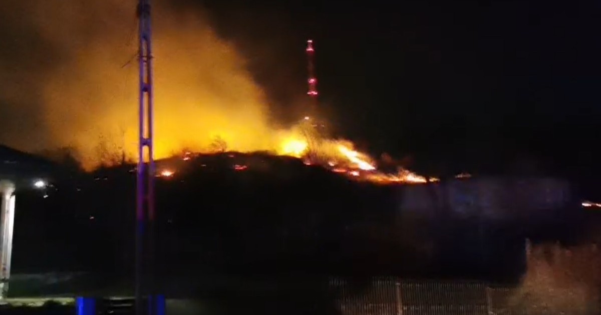 Incendiu masiv de vegetație pe dealul Pietricica din Piatra-Neamț. Foto: Știri-neamț.ro